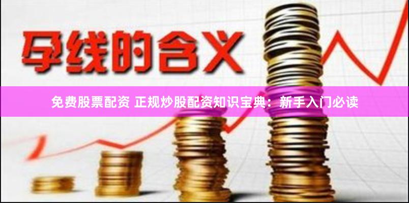 免费股票配资 正规炒股配资知识宝典：新手入门必读