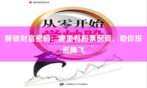 解锁财富密码：哪里有股票配资，助你投资腾飞