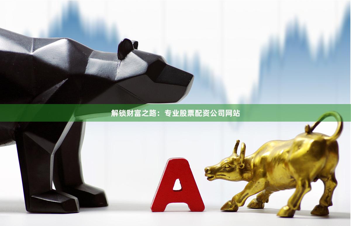 解锁财富之路：专业股票配资公司网站