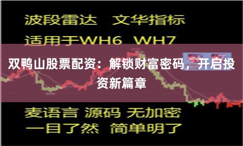 双鸭山股票配资:解锁财富密码,开启投资新篇章