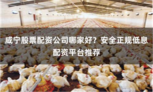 咸宁股票配资公司哪家好？安全正规低息配资平台推荐