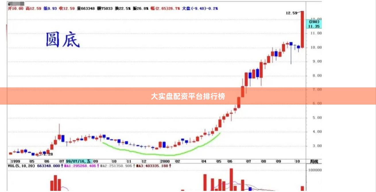 大实盘配资平台排行榜