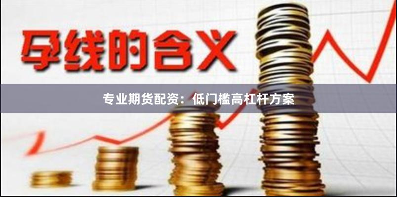 专业期货配资：低门槛高杠杆方案